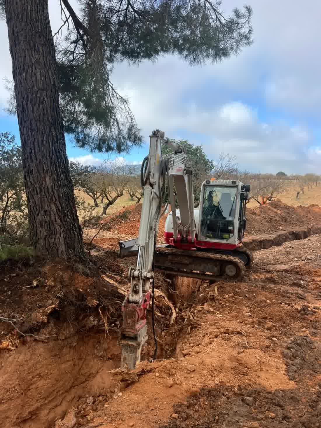 Excavadora y camión en un trabajo de movimiento de tierras