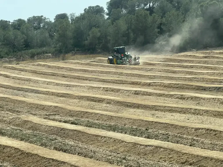 Trabajo realizado por JM Antolinos